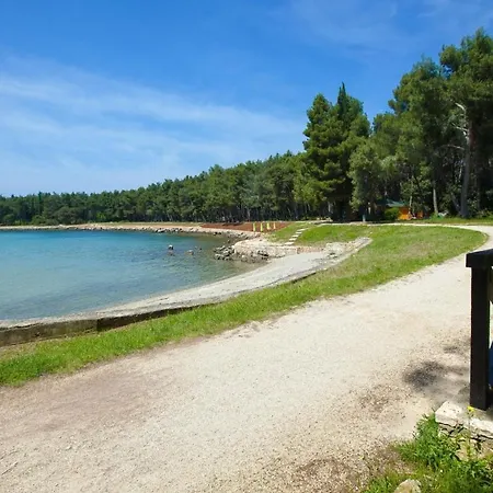 Villa Vanesa With Private Pool Near Rovinj - Open 2022